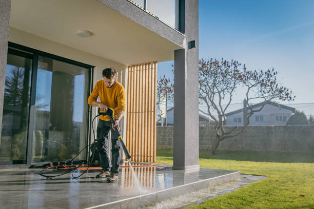 Best Roof Washing  in Cascade Chipita Park, CO